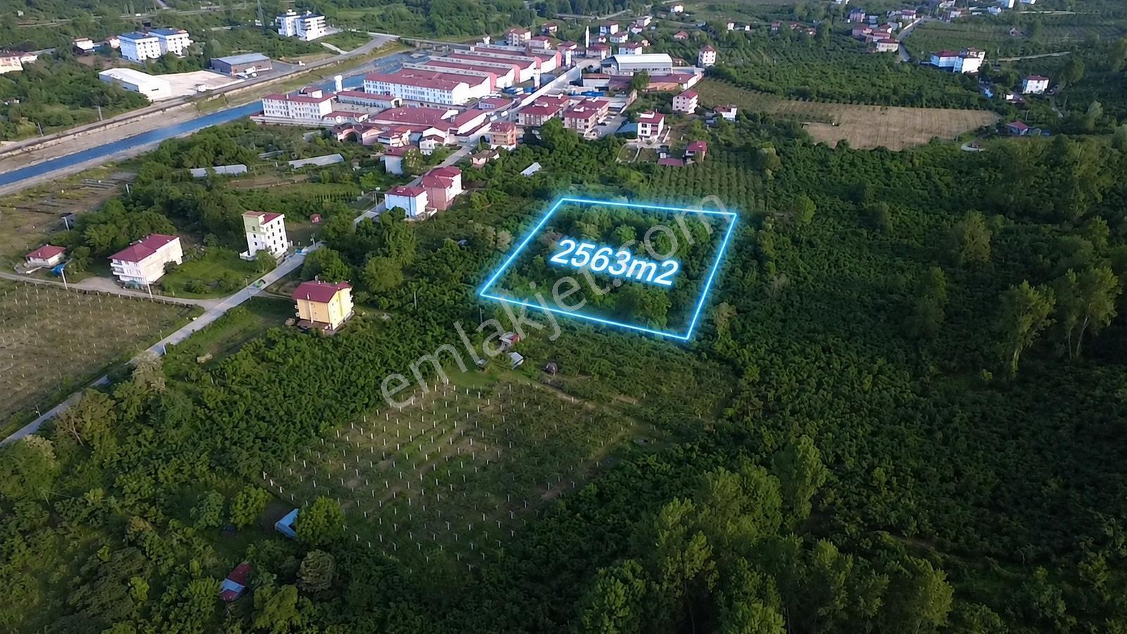 Vestha'dan Efirli Bölgesinde Denize Yakın Konut İmarlı Arsa — fotoğraf 2