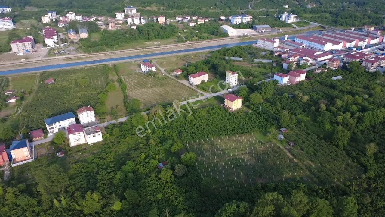 Vestha'dan Efirli Bölgesinde Denize Yakın Konut İmarlı Arsa — fotoğraf 4