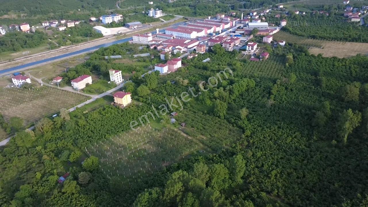 Vestha'dan Efirli Bölgesinde Denize Yakın Konut İmarlı Arsa — fotoğraf 5