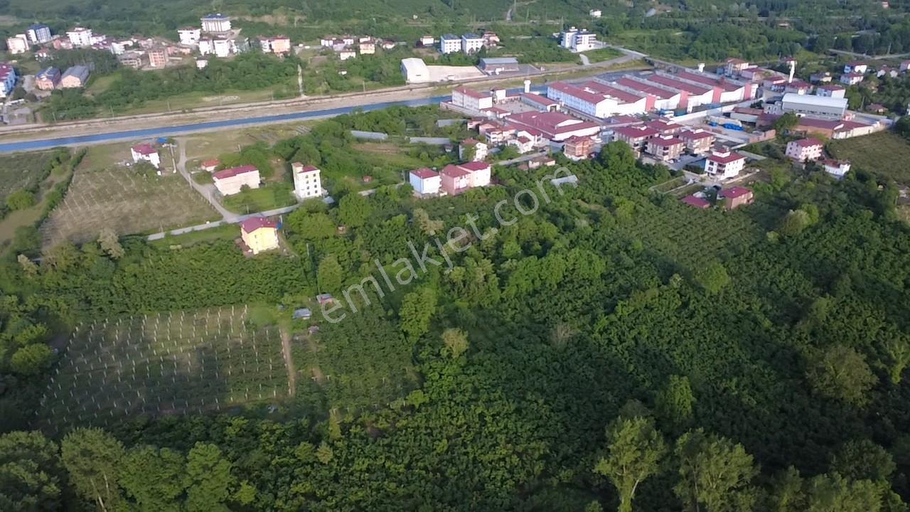 Vestha'dan Efirli Bölgesinde Denize Yakın Konut İmarlı Arsa — fotoğraf 6