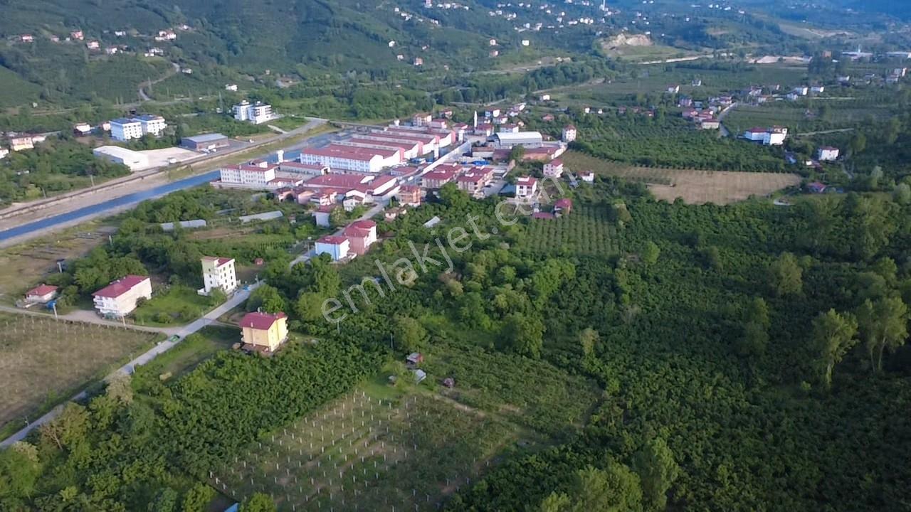 Vestha'dan Efirli Bölgesinde Denize Yakın Konut İmarlı Arsa — fotoğraf 7