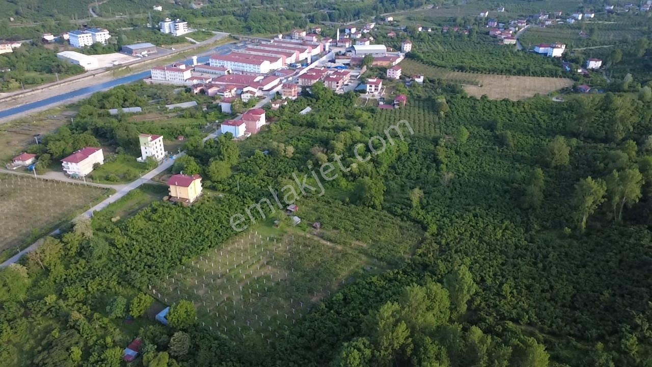 Vestha'dan Efirli Bölgesinde Denize Yakın Konut İmarlı Arsa — fotoğraf 8