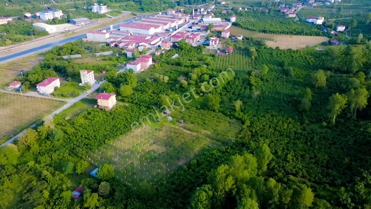 Vestha'dan Efirli Bölgesinde Denize Yakın Konut İmarlı Arsa — fotoğraf 9