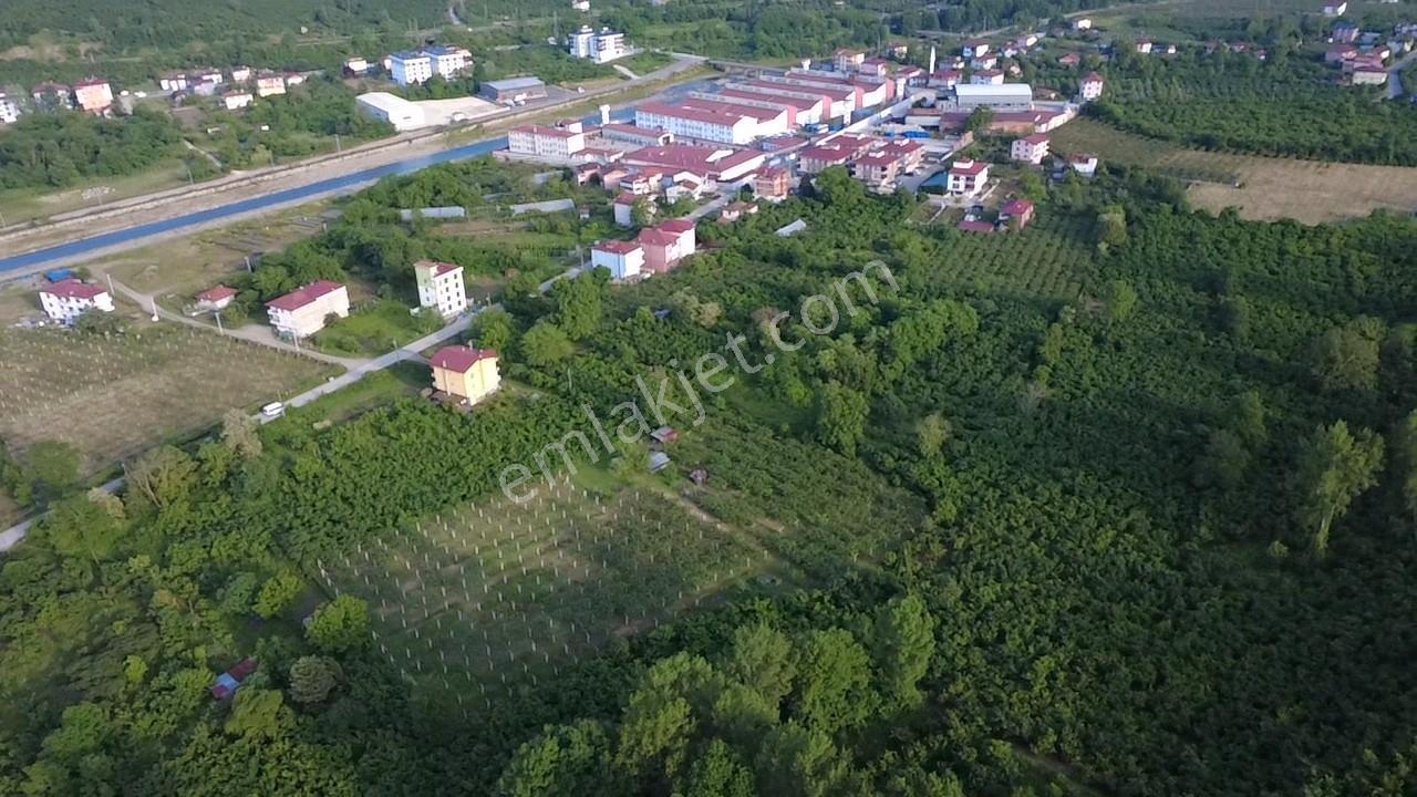 Vestha'dan Efirli Bölgesinde Denize Yakın Konut İmarlı Arsa — fotoğraf 10