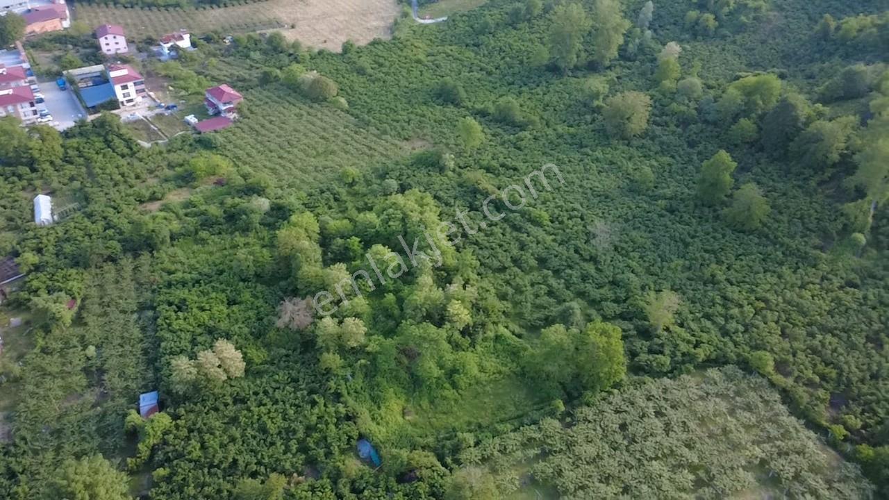 Vestha'dan Efirli Bölgesinde Denize Yakın Konut İmarlı Arsa — fotoğraf 11
