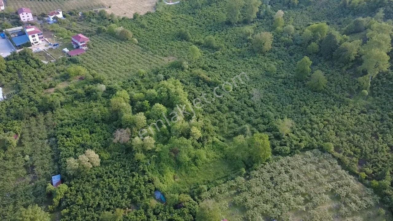 Vestha'dan Efirli Bölgesinde Denize Yakın Konut İmarlı Arsa — fotoğraf 12