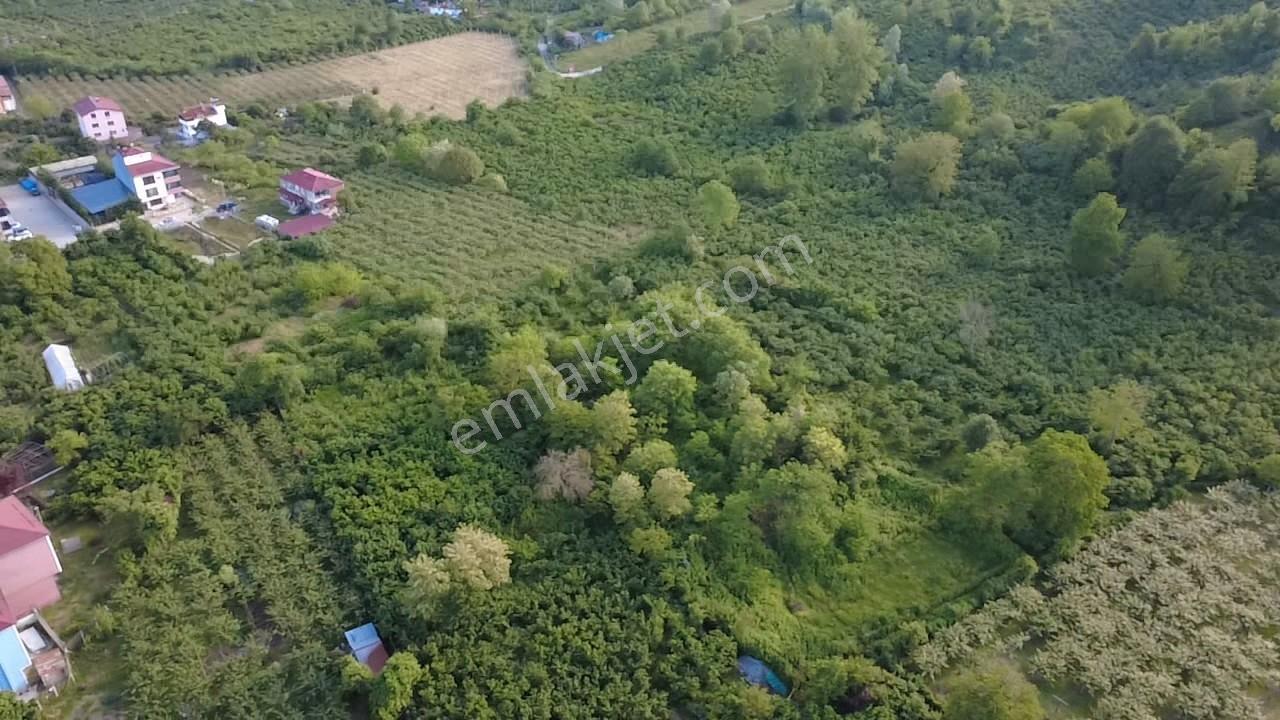 Vestha'dan Efirli Bölgesinde Denize Yakın Konut İmarlı Arsa — fotoğraf 13