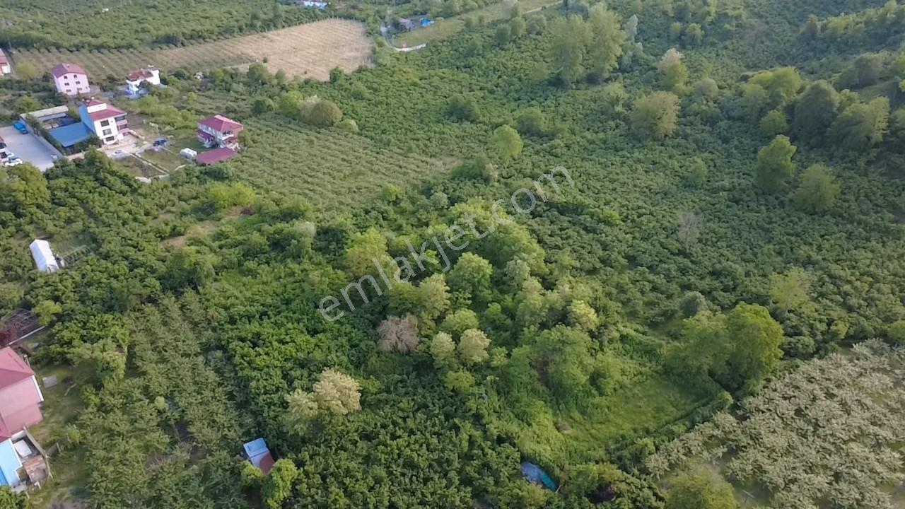 Vestha'dan Efirli Bölgesinde Denize Yakın Konut İmarlı Arsa — fotoğraf 14