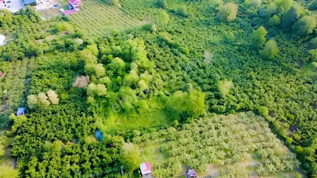 Vestha'dan Efirli Bölgesinde Denize Yakın Konut İmarlı Arsa — fotoğraf 15