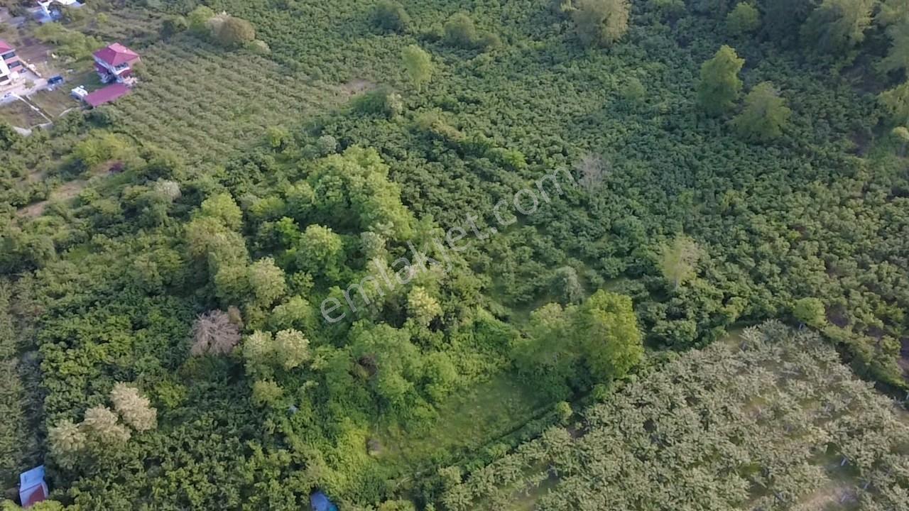Vestha'dan Efirli Bölgesinde Denize Yakın Konut İmarlı Arsa — fotoğraf 16