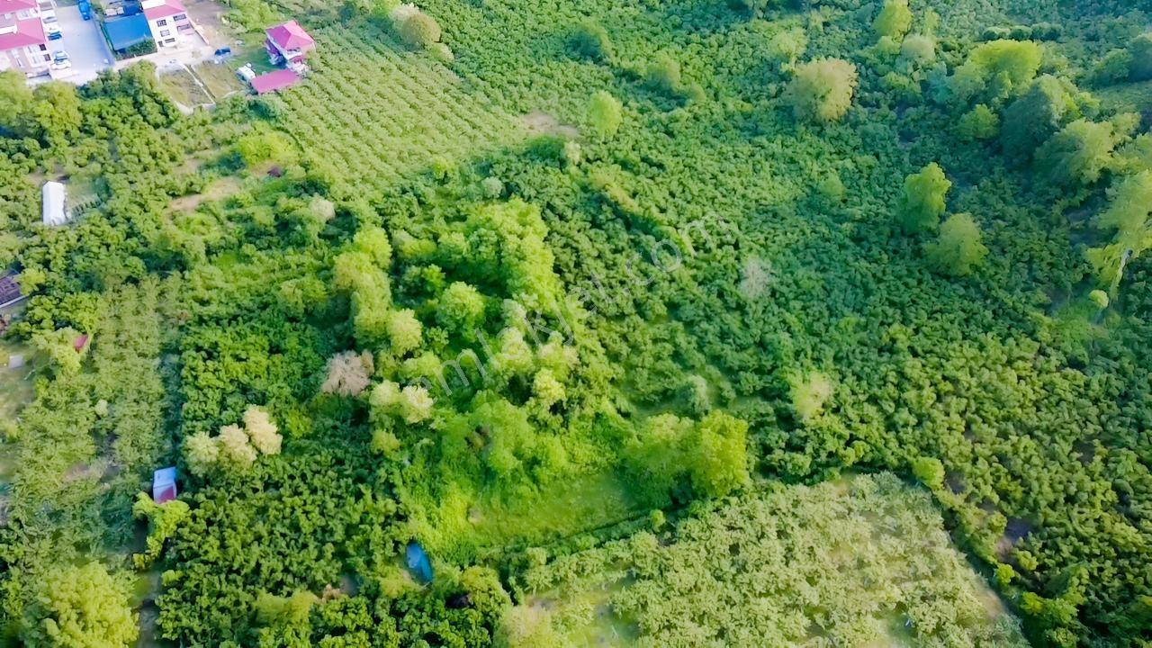 Vestha'dan Efirli Bölgesinde Denize Yakın Konut İmarlı Arsa — fotoğraf 17