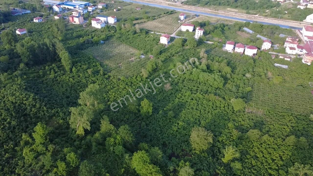 Vestha'dan Efirli Bölgesinde Denize Yakın Konut İmarlı Arsa — fotoğraf 18