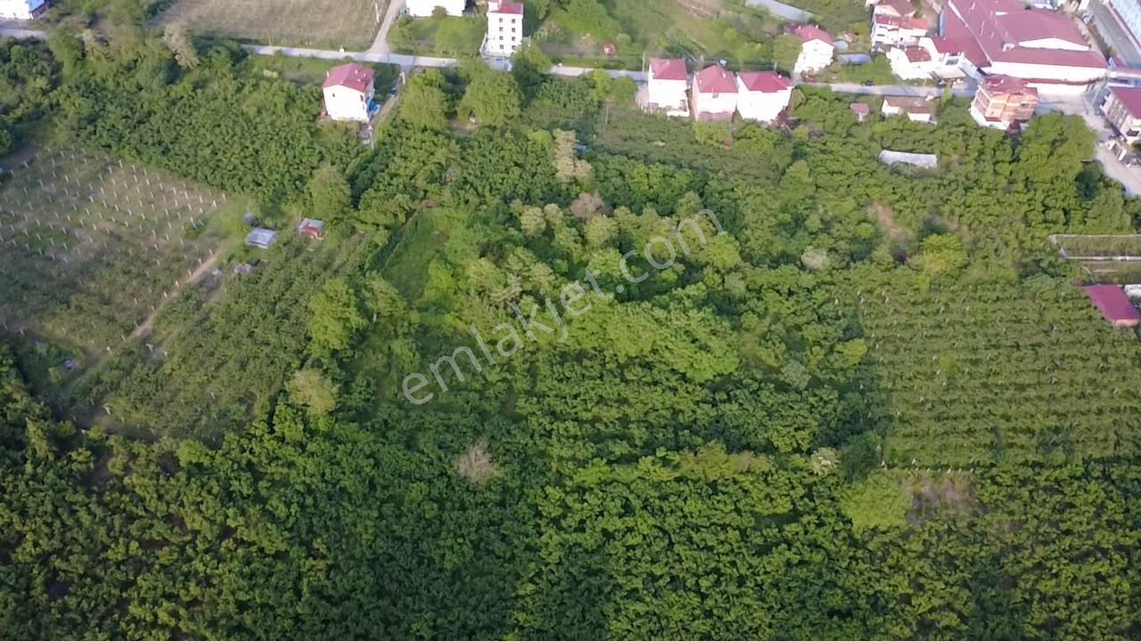 Vestha'dan Efirli Bölgesinde Denize Yakın Konut İmarlı Arsa — fotoğraf 19