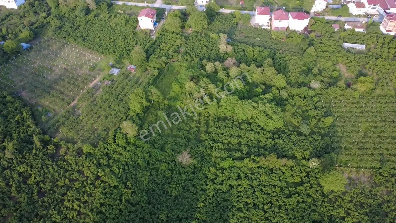 Vestha'dan Efirli Bölgesinde Denize Yakın Konut İmarlı Arsa — fotoğraf 20