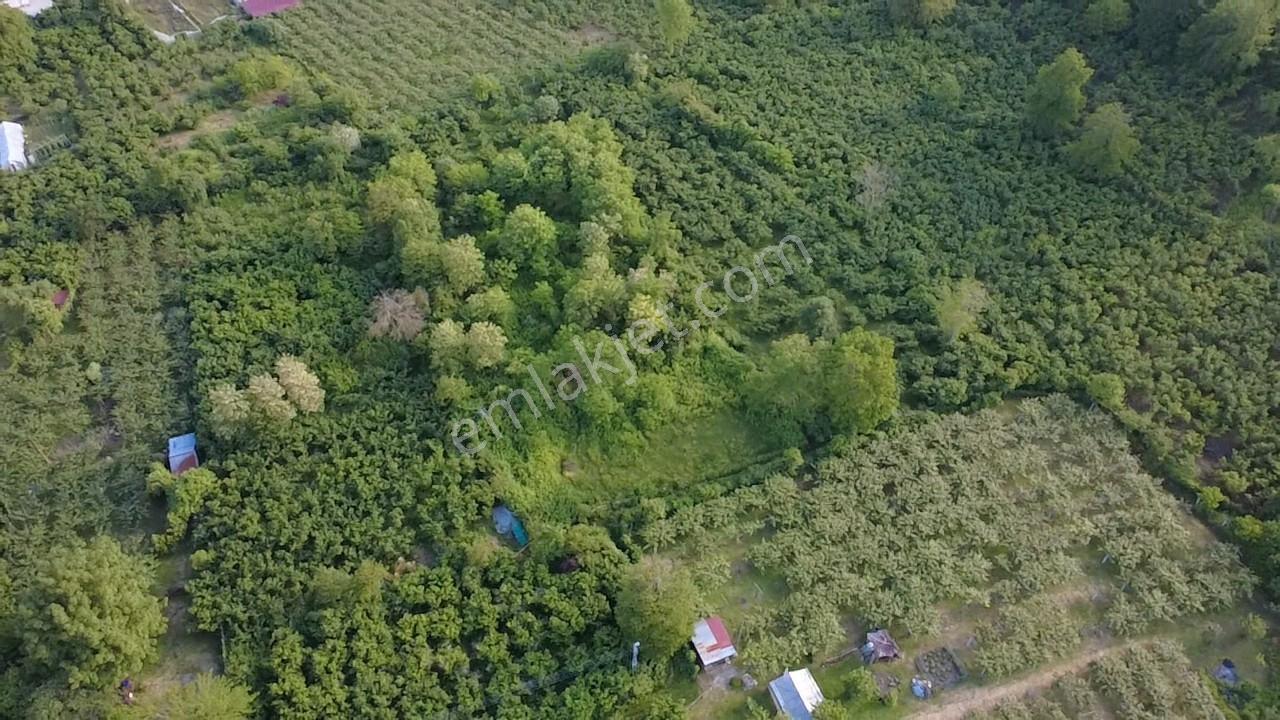Vestha'dan Efirli Bölgesinde Denize Yakın Konut İmarlı Arsa — fotoğraf 21