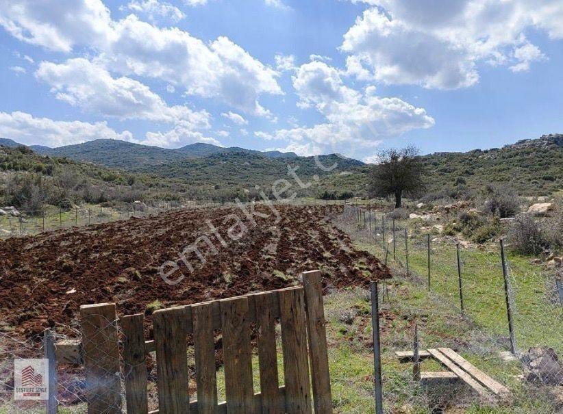 Burdur Bucak Pazaravdan'da Satılık Fırsat Tarla — fotoğraf 5