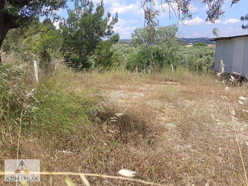 Karaagaçta Satılık Bahçe Elektrik Suyu Var — fotoğraf 3