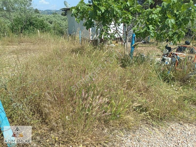Karaagaçta Satılık Bahçe Elektrik Suyu Var — fotoğraf 6