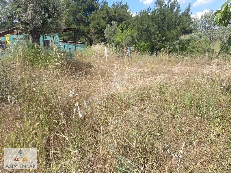 Karaagaçta Satılık Bahçe Elektrik Suyu Var — fotoğraf 7