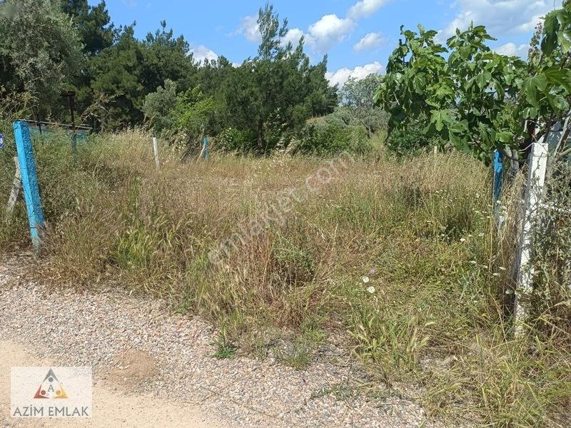 Karaagaçta Satılık Bahçe Elektrik Suyu Var — fotoğraf 9