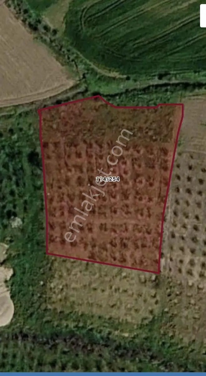 Sakarya/Ferizli/Doğancıda Satılık 3.098,65 M² Tarla