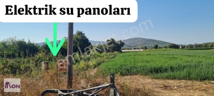Kuzyaka Köyü' De Elektrik Ve Suyu Olan Satılık Hisseli Parsel — fotoğraf 2