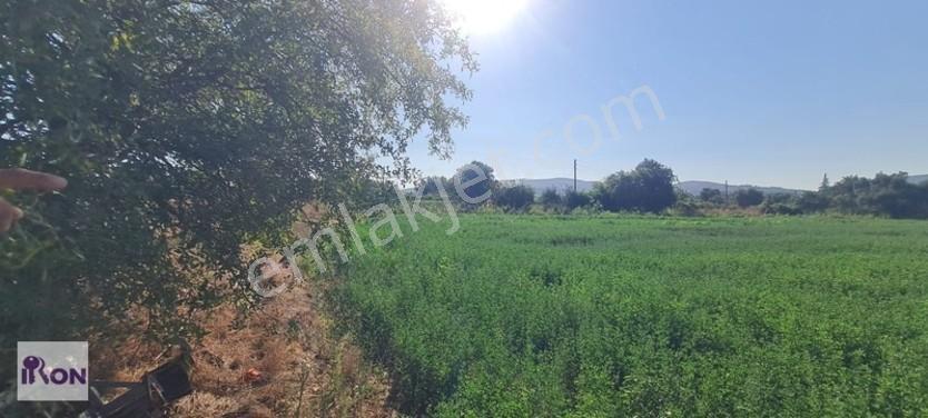 Kuzyaka Köyü' De Elektrik Ve Suyu Olan Satılık Hisseli Parsel — fotoğraf 13
