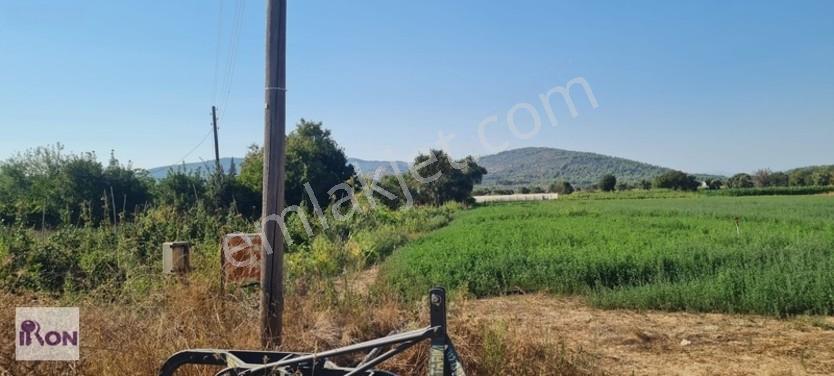 Kuzyaka Köyü' De Elektrik Ve Suyu Olan Satılık Hisseli Parsel — fotoğraf 16
