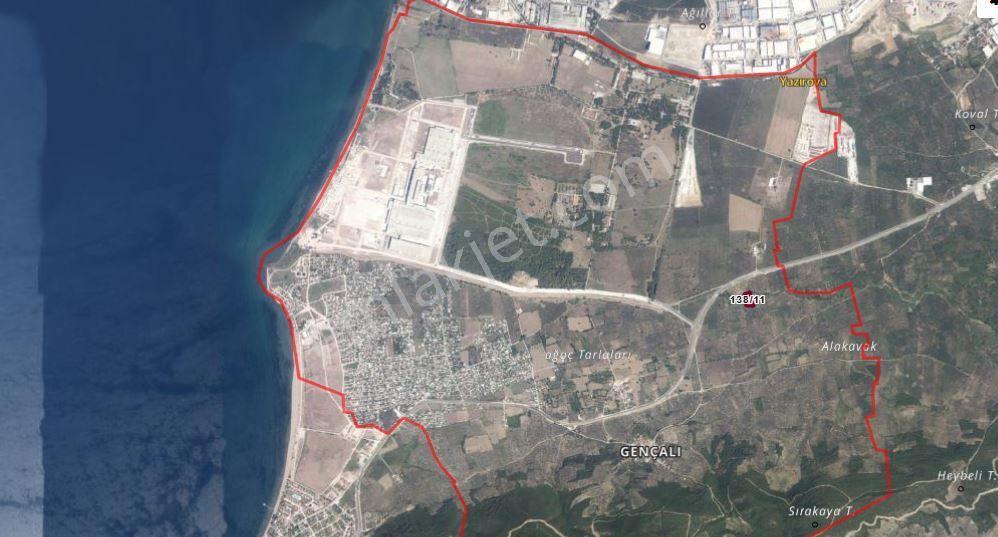 The Point Gayrimenkul 'den Bursa Gemlik Gençali’de Satılık 4.518 M² Zeytinlik | Ana Yola Yakın — fotoğraf 2