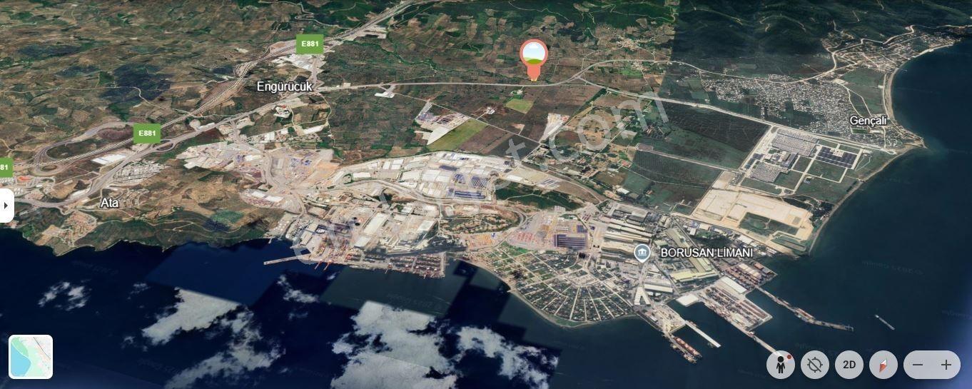 The Point Gayrimenkul 'den Bursa Gemlik Gençali’de Satılık 4.518 M² Zeytinlik | Ana Yola Yakın — fotoğraf 6