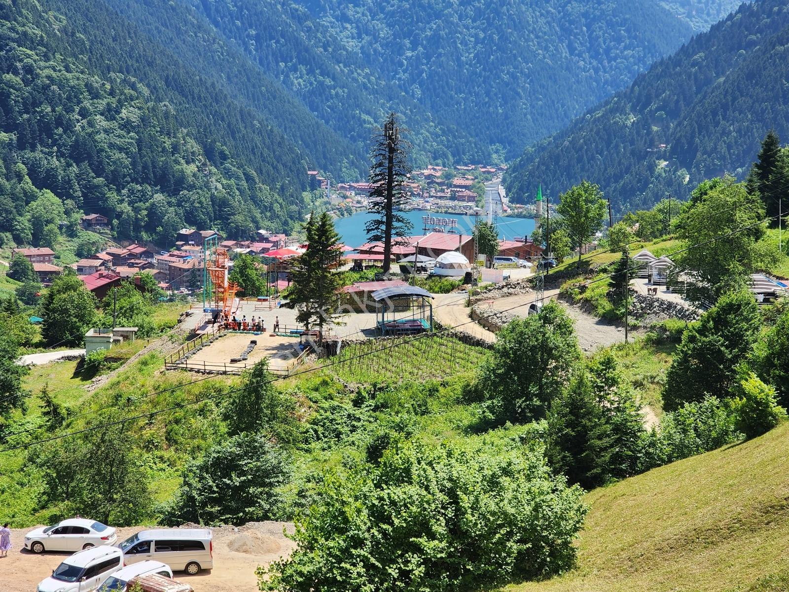 Uzungölde Satılık Arazi