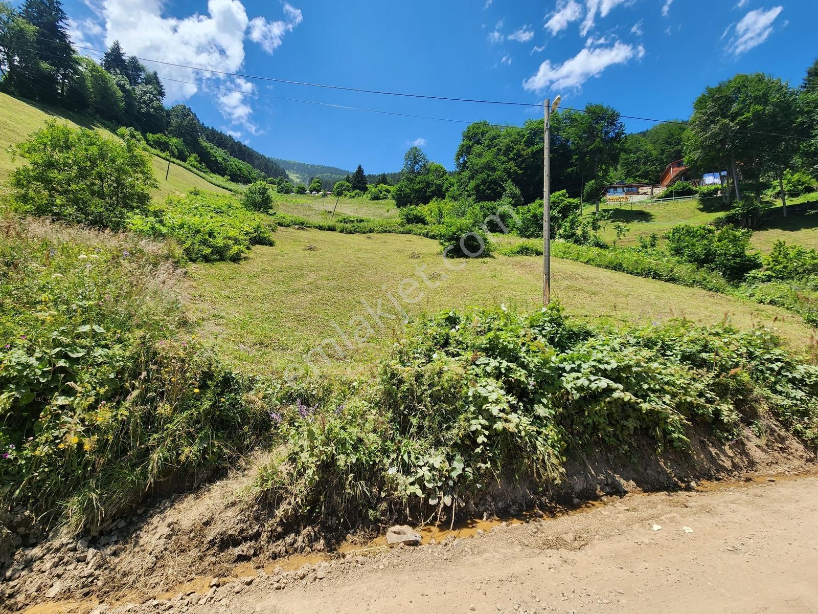 Uzungölde Satılık Arazi — fotoğraf 2