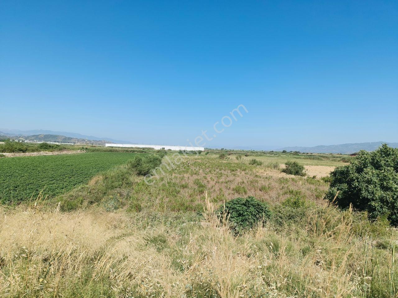 Söke - İzmir Anayola Cepheli Satılık Tarla 10.727 M² — fotoğraf 2