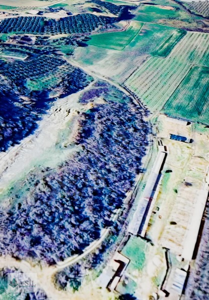 Serik Eminceler De Satılık 1233m2 Tarla(gökçesu Mevkii) — fotoğraf 2