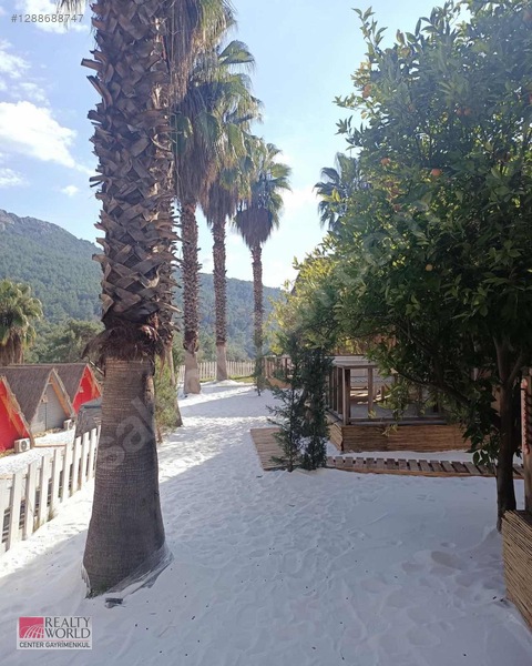 Güneş Erkoç'tan Kemer Çıralı'da Glampıng Otel — fotoğraf 8