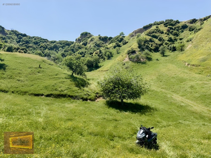 Avşarda Satılık 1000 M2 Manzaralı İmara Sıfır Tarla — fotoğraf 25