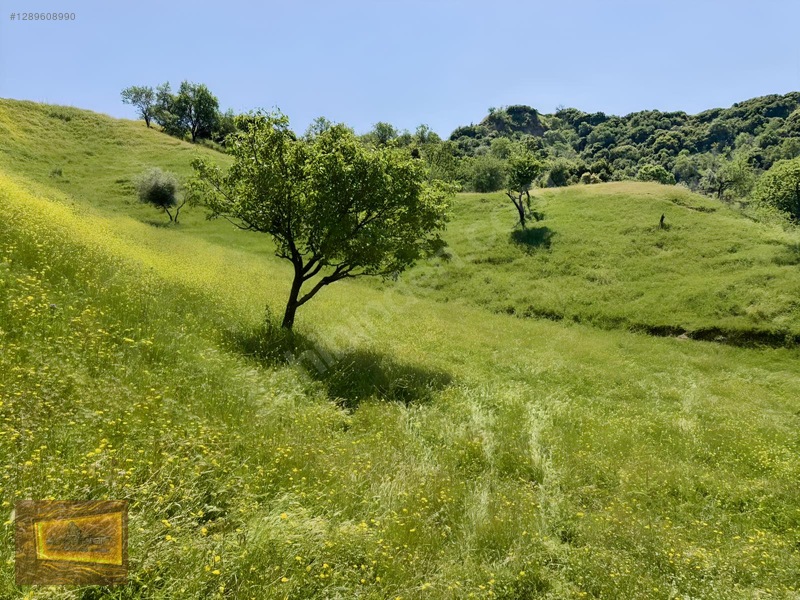 Avşarda Satılık 1000 M2 Manzaralı İmara Sıfır Tarla — fotoğraf 26