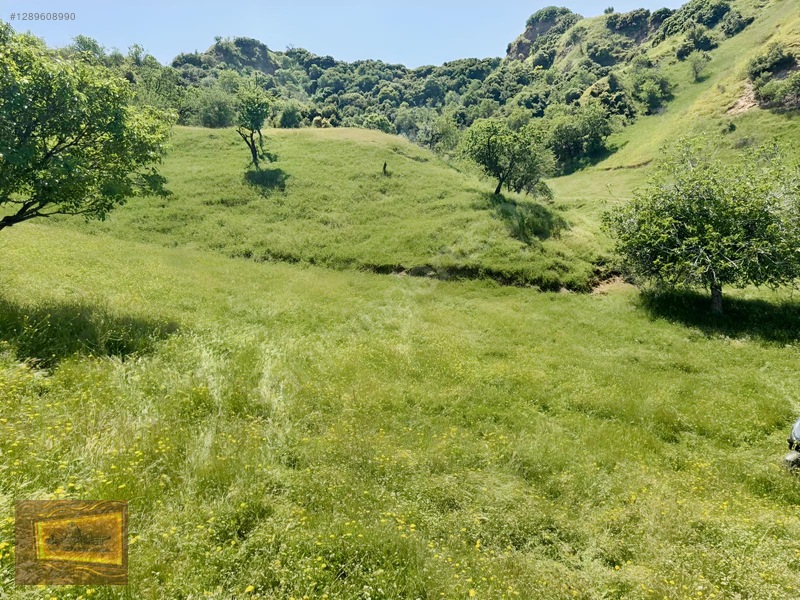 Avşarda Satılık 1000 M2 Manzaralı İmara Sıfır Tarla — fotoğraf 27