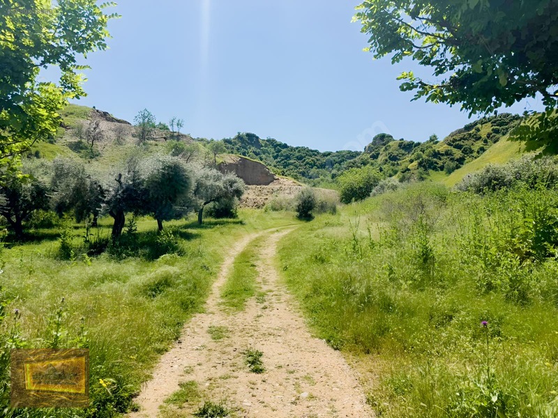 Avşarda Satılık 1000 M2 Manzaralı İmara Sıfır Tarla — fotoğraf 30