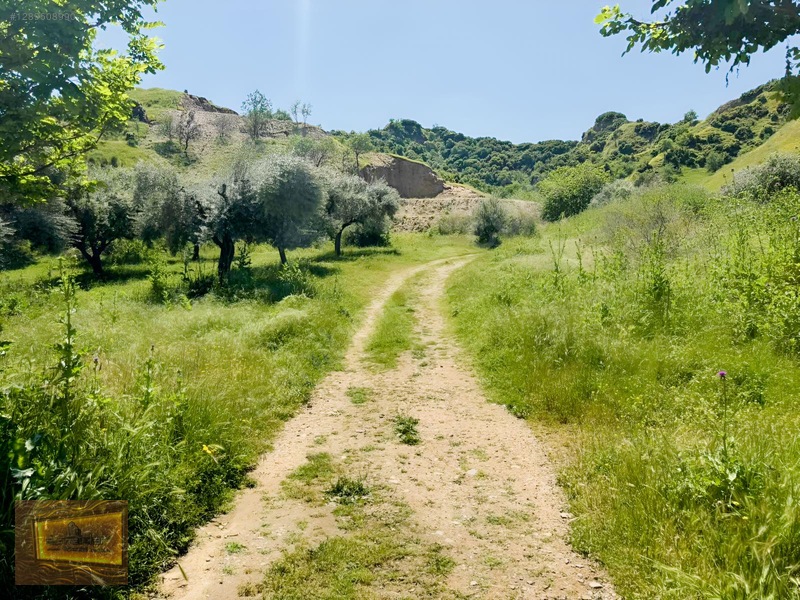 Avşarda Satılık 1000 M2 Manzaralı İmara Sıfır Tarla — fotoğraf 33