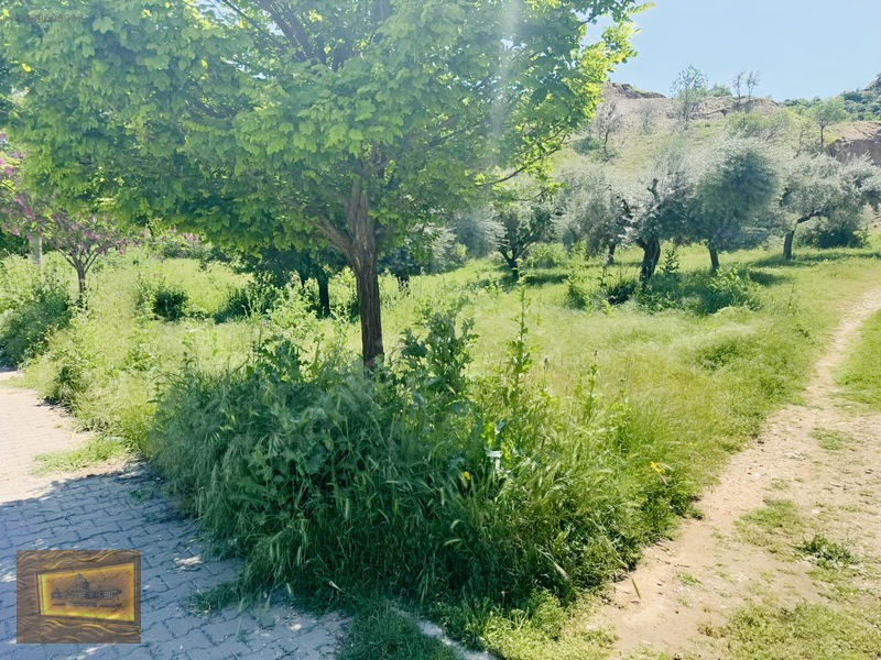 Avşarda Satılık 1000 M2 Manzaralı İmara Sıfır Tarla — fotoğraf 34