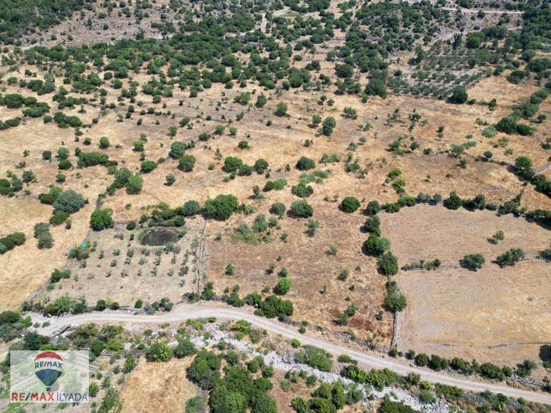 Dikili Katıralanı Köyünde Yol Cepheli Tarla — fotoğraf 4
