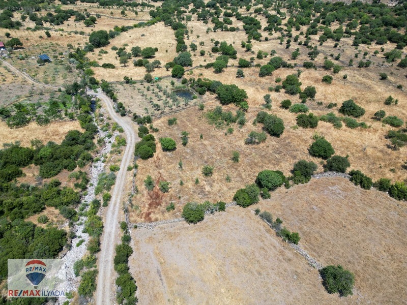 Dikili Katıralanı Köyünde Yol Cepheli Tarla — fotoğraf 7
