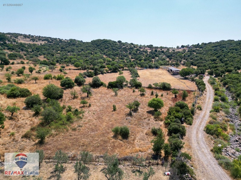 Dikili Katıralanı Köyünde Yol Cepheli Tarla — fotoğraf 8