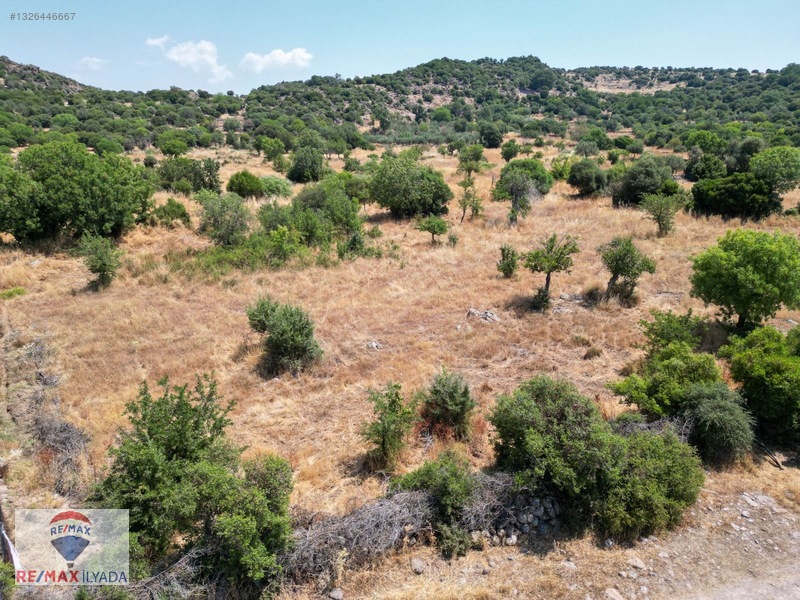 Dikili Katıralanı Köyünde Yol Cepheli Tarla — fotoğraf 9