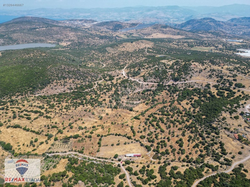 Dikili Katıralanı Köyünde Yol Cepheli Tarla — fotoğraf 10