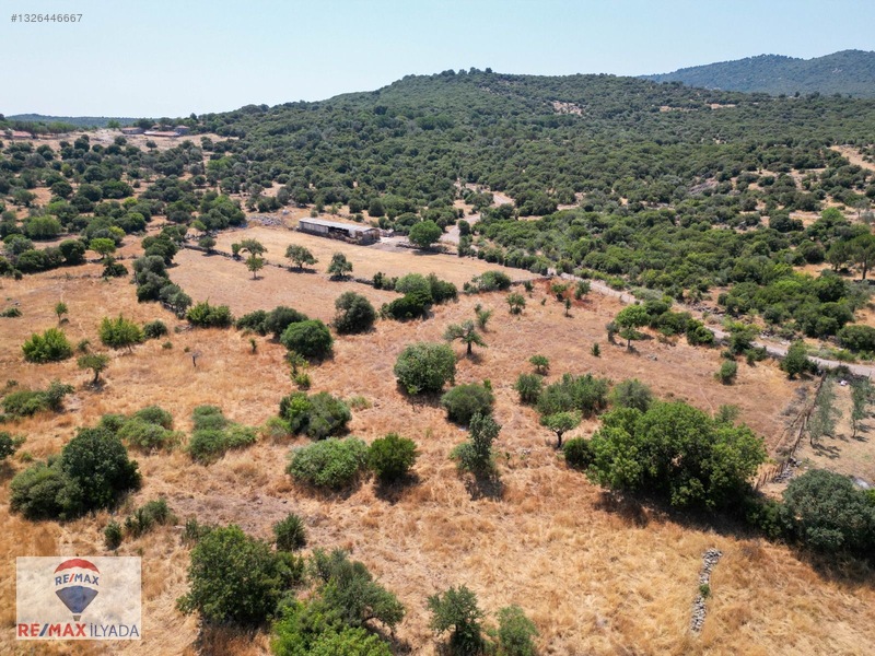Dikili Katıralanı Köyünde Yol Cepheli Tarla — fotoğraf 12