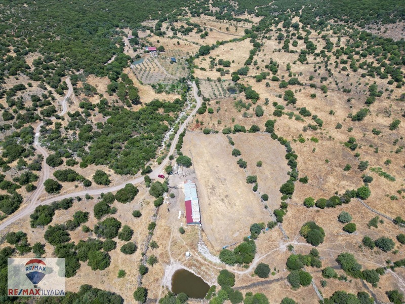 Dikili Katıralanı Köyünde Yol Cepheli Tarla — fotoğraf 14