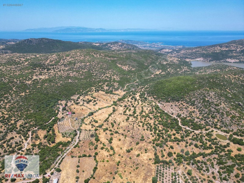 Dikili Katıralanı Köyünde Yol Cepheli Tarla — fotoğraf 15