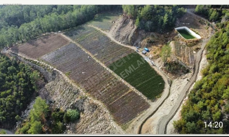 Altun Emlaktan Satılık Anamurda Masrafsız Büyük Tarım Arazisi — fotoğraf 2